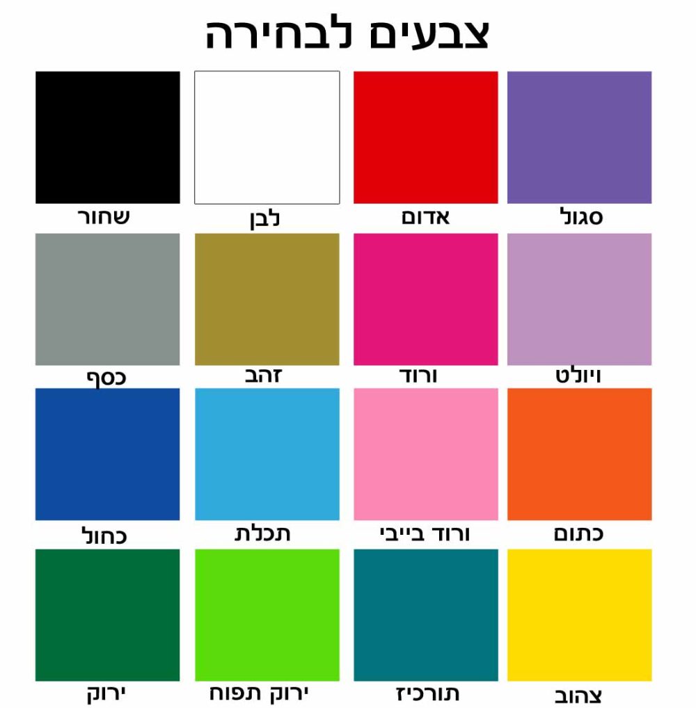 מדבקת קיר לחדרי ילדים ותינוקות טירה נסיכות if you can dream it you can do it